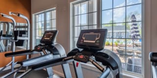 Walker Steele Creek Gallery 14