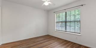 2434 Jolene Lane Gallery 20