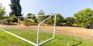 Avana Evergreen Gallery 53