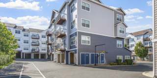 Element 170 Gallery 10