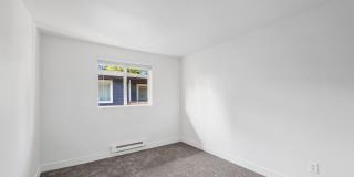 Finn Gallery 23