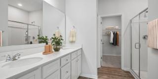 Poplin Trace Gallery 5