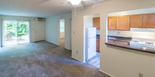 College Woods Gallery 43