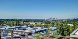 Parkside Esterra Gallery 9