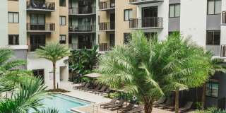 Modera Coral Springs Gallery 24