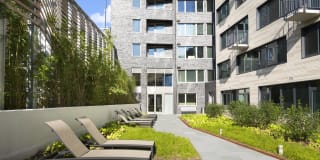 Eleven55 Ripley Gallery 34