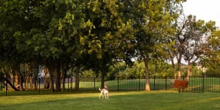 Settler’s Ridge Apartments Gallery 18