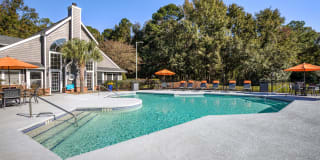 Palmetto Grove Palmetto Grove Gallery 13