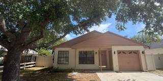 Pool Home in Palm Harbor Gallery 1