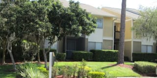 Stone Creek Gallery 16