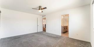 6958 Stone Cactus Street Gallery 10