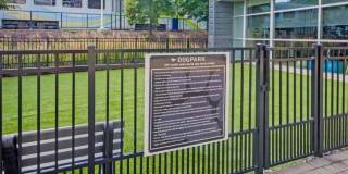 The Fitzgerald Gallery 16