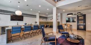 Windsor Burnet Gallery 42