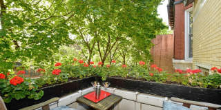 2737 North Hampden Court Gallery 9