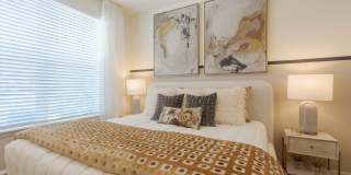 Altera Jacaranda Gallery 14