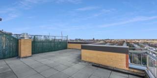 333 Greene Avenue Gallery 8