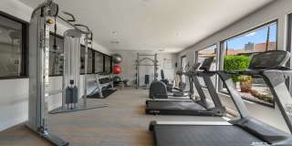 Serafina at South Mountain Gallery 4