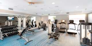 770 South Harbor Gallery 42