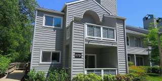 11701 SUMMERCHASE Circle Gallery 1