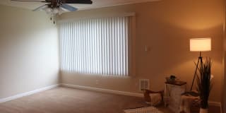 Windsor Park Gallery 13