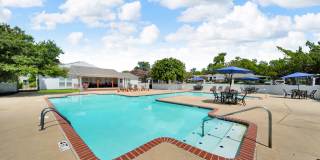 The Stella The Stella Gallery 3