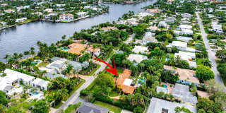 334 Palm Trail Gallery 35