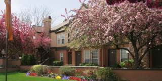 6183 Vine Field Lane Gallery 19