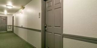 1833 North Williams Street - 504 Gallery 3