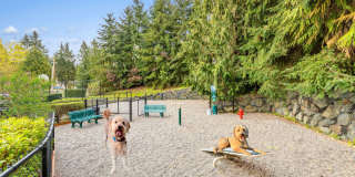 Brookside Village Gallery 23