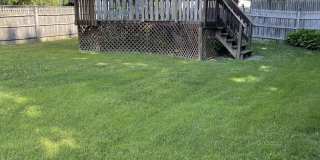 17 Clarence Avenue Gallery 9