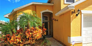 Kissimmee two story pool home Gallery 3