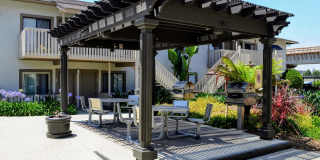 La Jolla Canyon Gallery 27