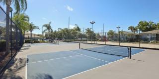 The Palms at Countryside Apartments Gallery 20