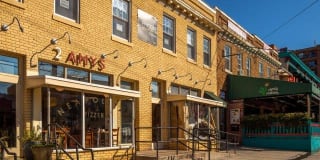 The Elaine Gallery 13