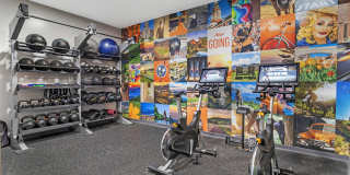 The Landings Gallery 19