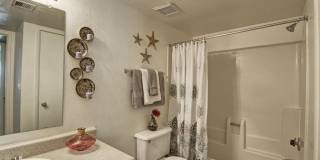 Paradise Falls Gallery 8