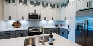 Carraway Village Gallery 20