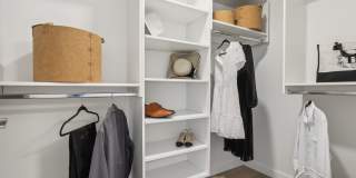 Avida Aventura Gallery 12