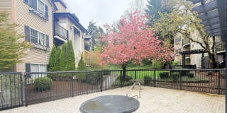 Gallery Condominiums - Downtown Kirkland Gallery 1