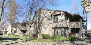 Windsor Ridge Gallery 1