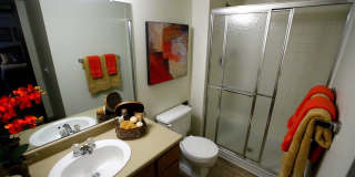 Eagle Ridge Gallery 12