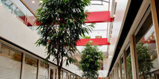 110 Campbell Ave Gallery 11