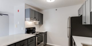 White Pines Gallery 30