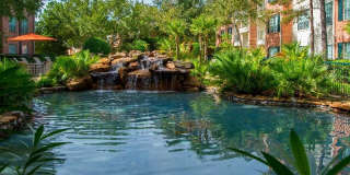 Park at Armand Bayou Gallery 6
