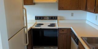 Briargate  Townhome Gallery 5