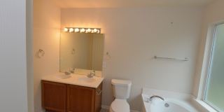 15746 Cotton Tail Gallery 14