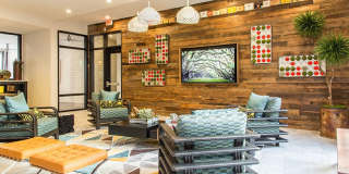 The Arnold Gallery 31