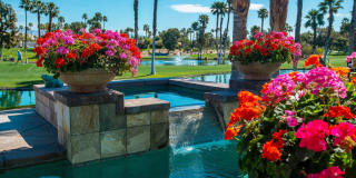 29170 W Laguna Drive Gallery 31
