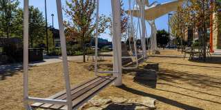 Greenhouse Gallery 60