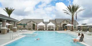 Canopy at Sundance Gallery 4